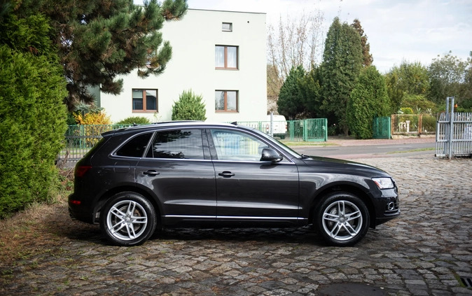 Audi Q5 cena 66500 przebieg: 193000, rok produkcji 2013 z Zabrze małe 172